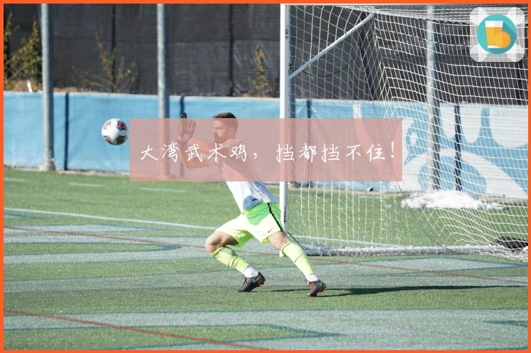 大湾武术鸡，挡都挡不住！