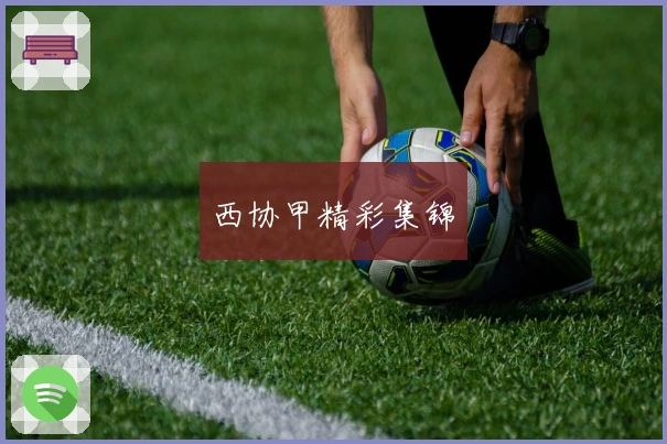 西协甲精彩集锦