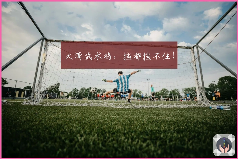 大湾武术鸡，挡都挡不住！