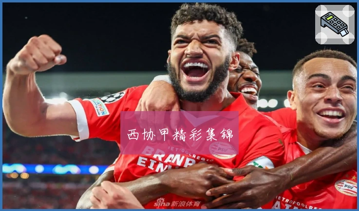 西协甲精彩集锦